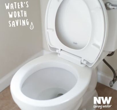 Love your loo with Northumbrian Water