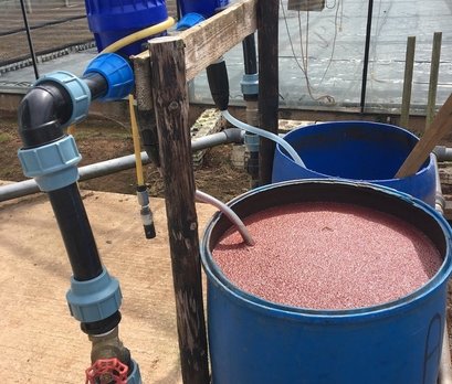 Water company technician turns detective to trace ‘pink water’
