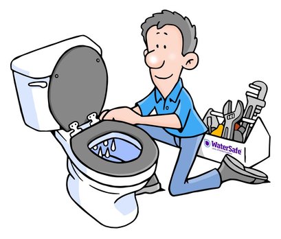WaterSafe plumbers  advice - leaking toilets waste water and money