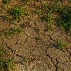 Practical plumbing tips for saving water