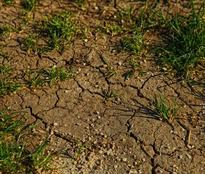 Practical plumbing tips for saving water