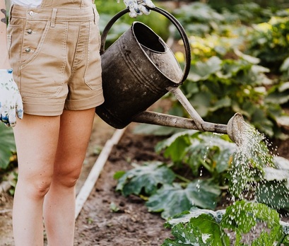 WaterSafe Says Be Wise With Water in Your Garden